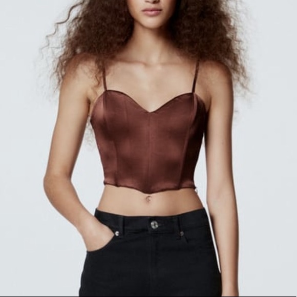 Zara | Tops | Brown Zara Corset Top | Poshmark